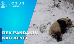 Çin'de dev pandanın kar keyfi kameralara yansıdı