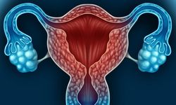 Araştırma: Östrojen hormonu, Kovid-19'la bağlantılı ciddi hastalıklardan kadınları koruyabilir