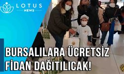 Video: Bursalılara ücretsiz 35 bin fidan dağıtılacak