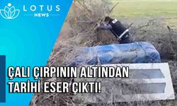 Video: Çalı çırpının altından tarihi eser çıktı