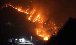 Güney Kore'de orman yangını çıktı