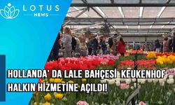 Video: Hollanda'da lale bahçesi Keukenhof halkın hizmetine açıldı