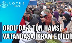 Ordu'da 2 ton hamsi, vatandaşlara ikram edildi