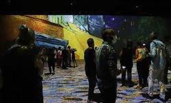 Brezilya'nın Sao Paulo kentinde üç boyutlu Van Gogh sergisi