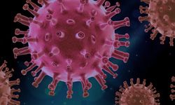 Covid-19 genetik varyantı, HIV'e karşı koruma sağlıyor