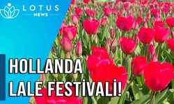 Video: Hollanda'da lale festivali yeniden halka açıldı