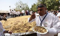 Filistinli aşçılar Ramazan öncesi devasa bir müceddere pilavı pişirdi