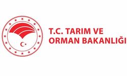 Tarım ve Orman Bakanlığı, gıdada hile yapan firmaları açıkladı