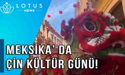 Video: Meksika'nın Guanajuato kentinde kaplan kostümü yarışması düzenlendi