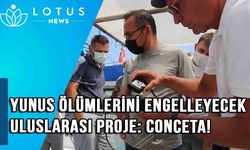 Yunus ölümlerini engelleyecek uluslararası proje: Conceta