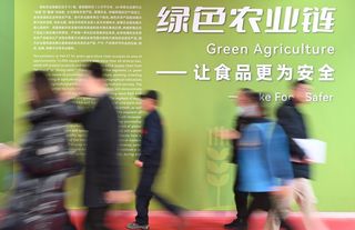 Çin Uluslararası Tedarik Zinciri Fuarı'ndaki yeşil tarım zinciri sergisi büyük ilgi çekti