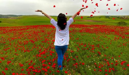 Mardin tarlalarındaki renk cümbüşü