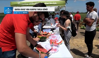 Bafra Ovası'nda karpuz tarla günü