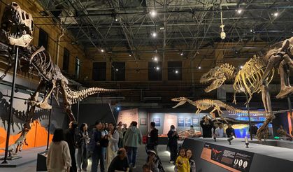 Dinozorların Kralı Özel Sergisi, Beijing'de kapılarını ziyaretçilere açtı