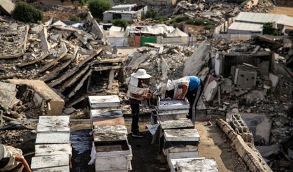 Filistinli arıcı Gazze'de saldırıların gölgesinde bal üretimini sürdürüyor