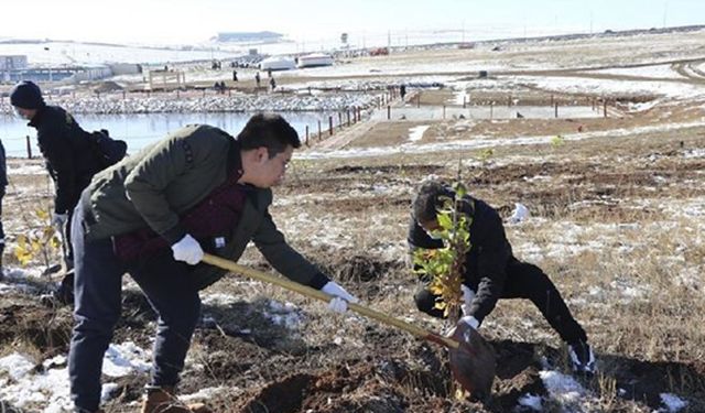 BM raporu: Dünya arazisinin yüzde 40'ı kadarı bozunmaya uğradı