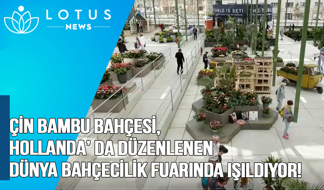 Video: Çin Bambu Bahçesi, Hollanda'da düzenlenen dünya bahçecilik fuarında ışıldıyor