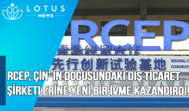 Video: RCEP, Çin'in doğusundaki dış ticaret şirketlerine yeni bir ivme kazandırdı