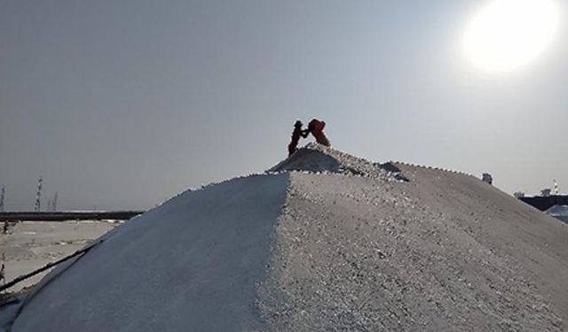 Hindistan'da tuz tavasında çalışan işçi