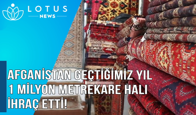 Video: Afganistan geçtiğimiz yıl 1 milyon metrekare halı ihraç etti