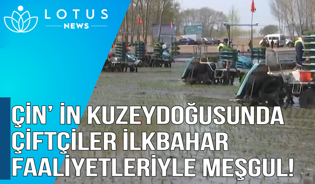 Video: Çin'in kuzeydoğusunda çiftçiler ilkbahar faaliyetleriyle meşgul