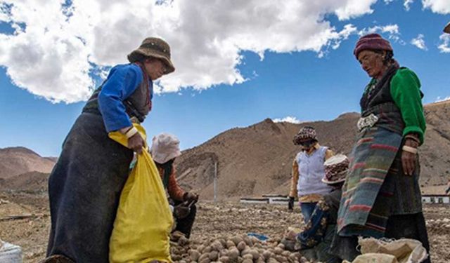 Everest'in eteğinde tarım