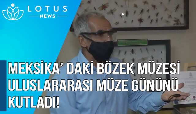 Video: Meksika'daki Böcek Müzesi, Uluslararası Müze Günü'nü kutladı