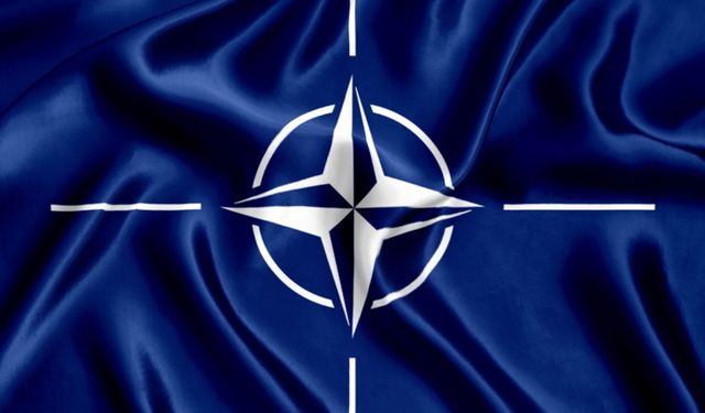 Finlandiya resmen NATO üyeliğine başvuruyor