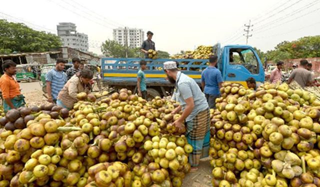 Bangladeş'te palmira palmiye mevyelerinin hasadı başladı