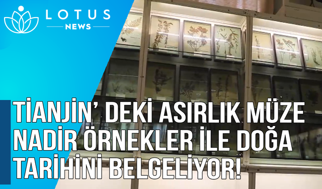 Video: Tianjin'deki asırlık müze nadir örneklerle doğa tarihini belgeliyor