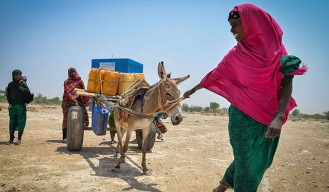 UNICEF, Etiyopya'da yaşayan 9,9 milyon kişinin ihtiyaçlarını karşılamak için finansman açığı ile karşı karşıya