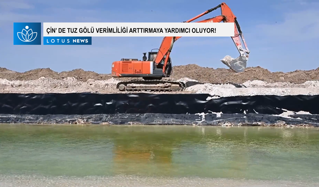 Video: Çin'in en büyük tuz gölünün yeşil gelişimi verimliliği artırmaya yardımcı oluyor