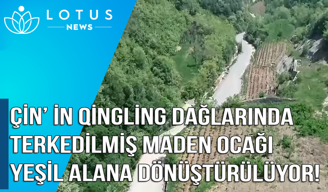 Video: Çin'in Qinling Dağları'nda terk edilmiş maden ocağı yeşil alana dönüştürülüyor