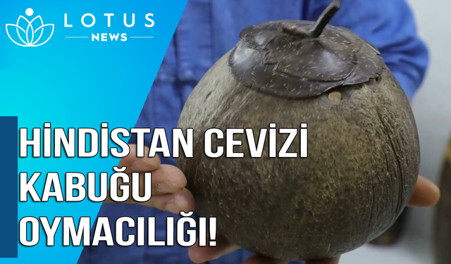 Video: Hindistan cevizi oymacılığı köylülere müreffeh bir hayat sağlıyor