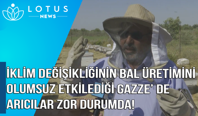 Video: İklim değişikliğinin bal üretimini olumsuz etkilediği Gazze'de arıcılar zor durumda