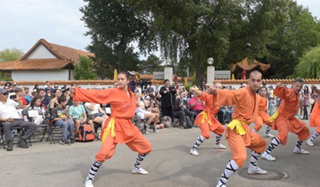 Viyana'da bir festivalde Kung Fu gösterisi