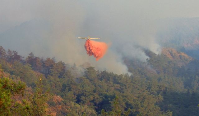 Yangına 20 helikopter, 14 uçak ile müdahale başladı