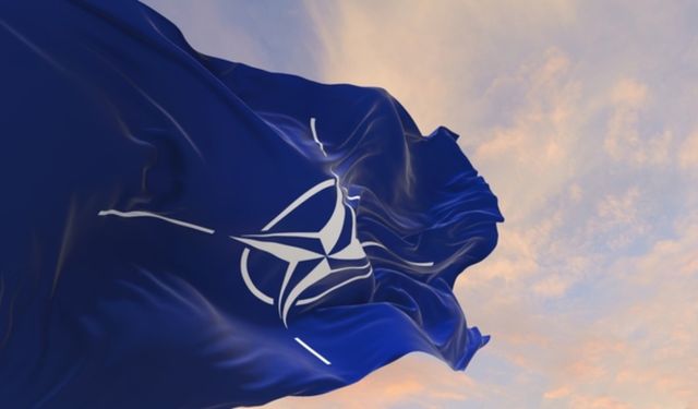 Finlandiya: Türkiye'yle NATO görüşmelerine ara verilmeli
