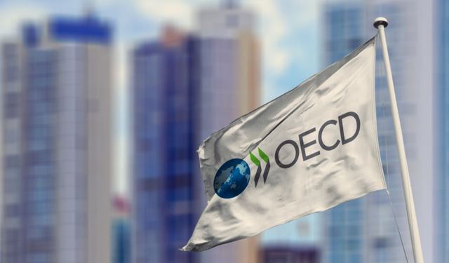 OECD, Türkiye için büyüme ve enflasyon tahminini güncelledi