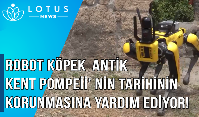 Video: Yüksek teknolojili robot köpek, antik kent Pompeii'nin mirasını korumaya yardımcı oluyor