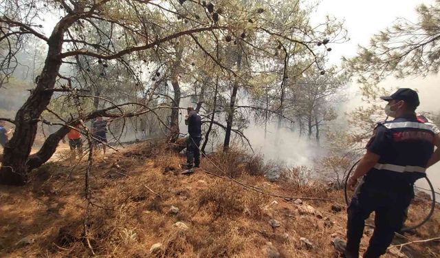 Datça ve Urla’da çıkan orman yangınlarına müdahale sürüyor