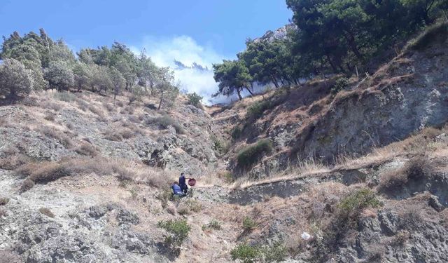 İzmir'den sonra Hatay’da da orman yangını!