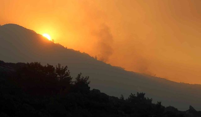 Meteoroloji’den Muğla’ya orman yangını uyarısı