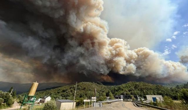 İspanya'da sıcak hava dalgası orman yangınlarını tetikledi