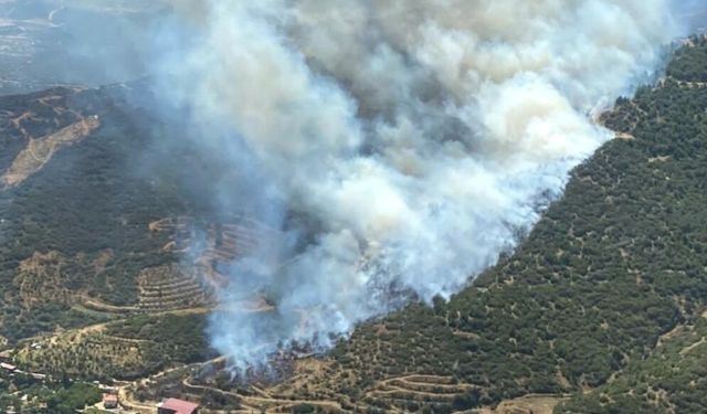 İzmir’de iki ayrı noktada yangın