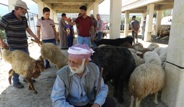 Lübnan'daki kurban pazarında bayram alışverişi