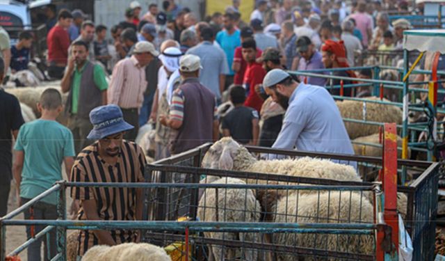 Gazze'deki kurban pazarı bayram öncesi canlandı