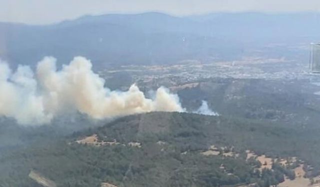 Muğla’da orman yangını paniği