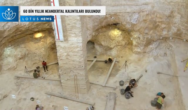 Video: İspanyol araştırmacılar 60 bin yıllık Neandertal kalıntıları buldu