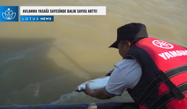 Video: Çin'in en büyük tatlısu gölünde balık sayısı avlanma yasağı sayesinde arttı